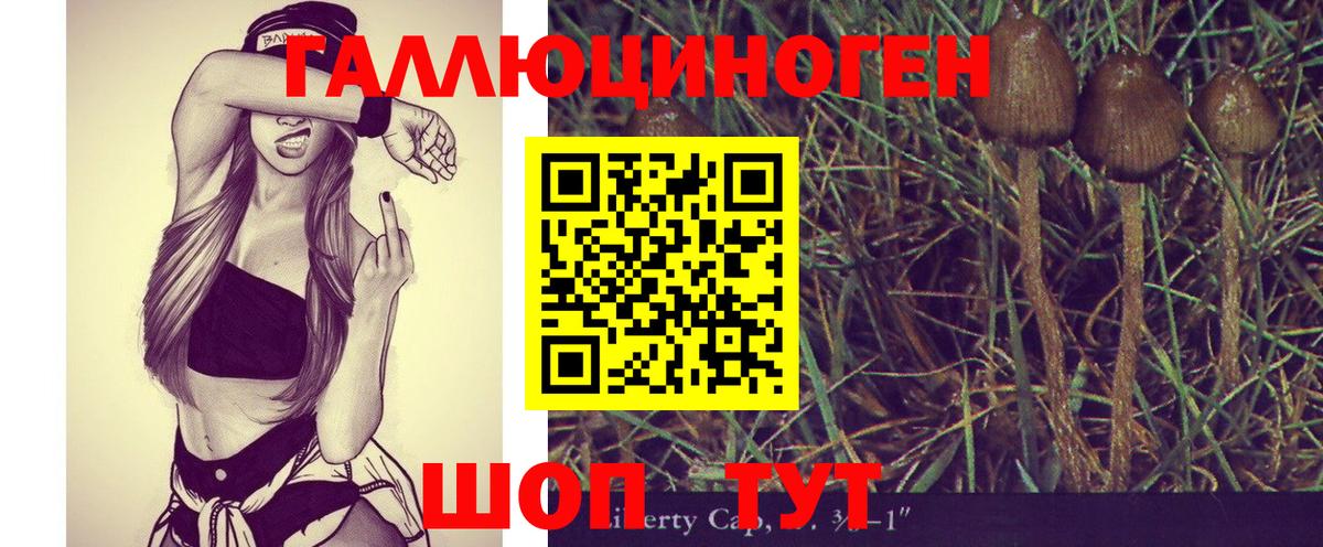Псилоцибиновые грибы Magic Shrooms  Вход с VPN  Галлюциногенные грибы Psilocybe  Выкса 
