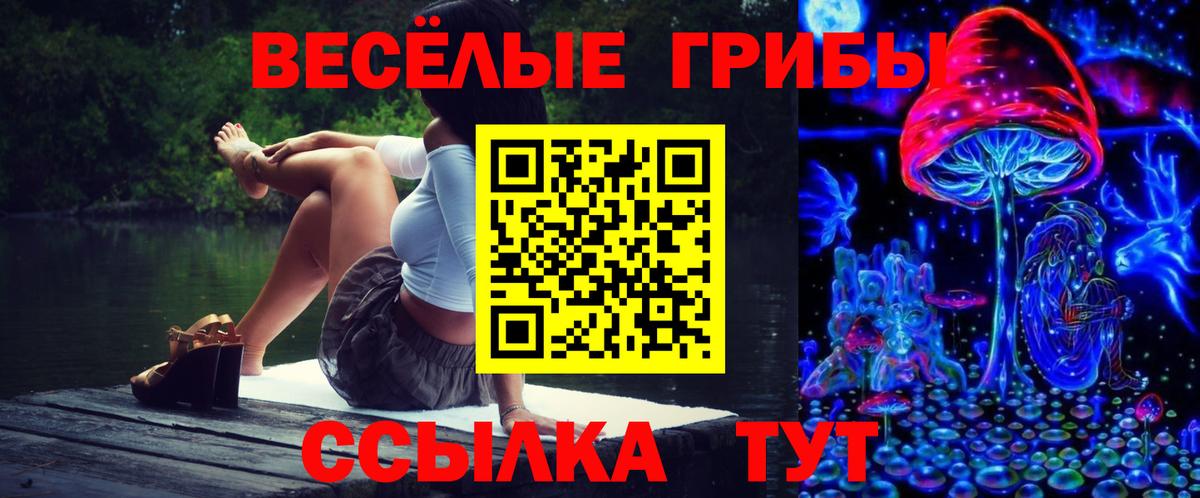 Псилоцибиновые грибы Cubensis Выкса
